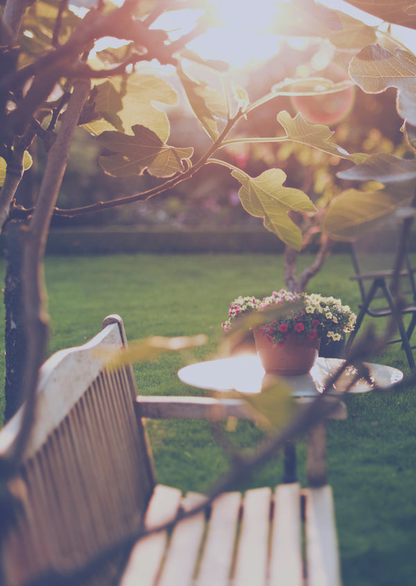 Zap Those Outdoor Pests!