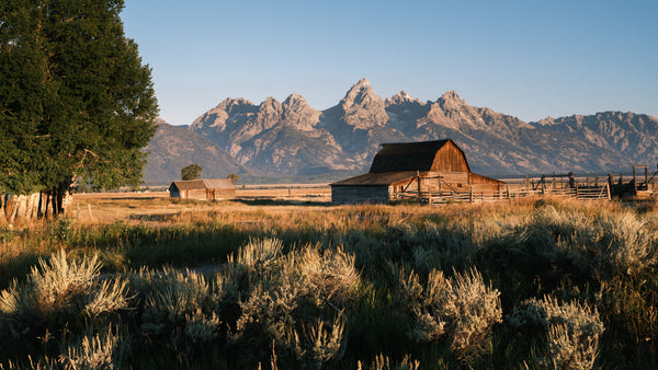 Best Outdoor Summer Activities In Wyoming