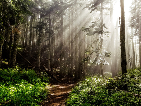 Best Outdoor Fall Activities In Oregon
