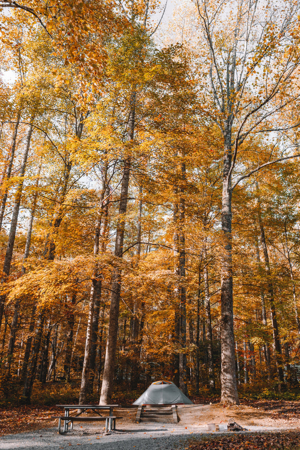 Best Outdoor Fall Activities In South Carolina