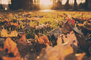 Best Outdoor Fall Activities In Minnesota