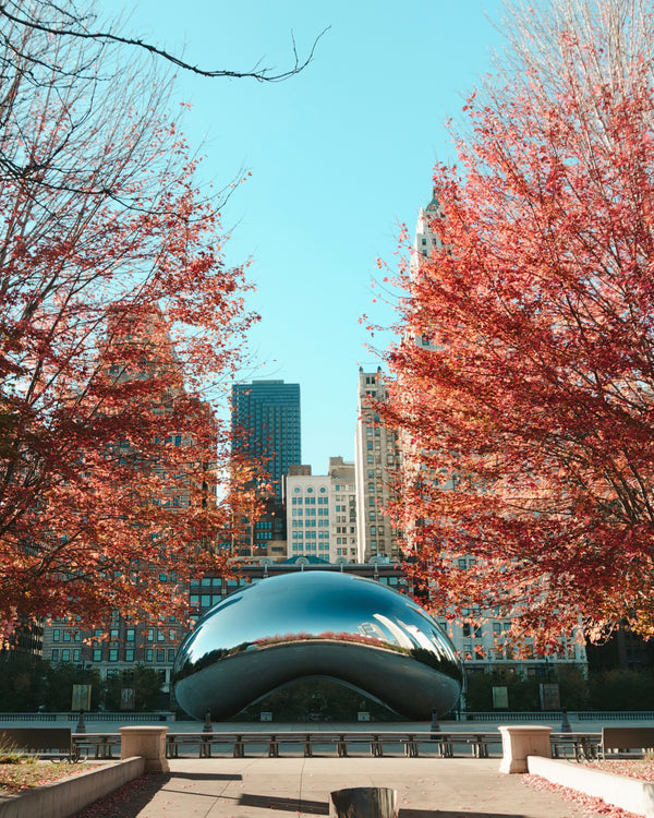 Best Outdoor Spring Activities In Illinois