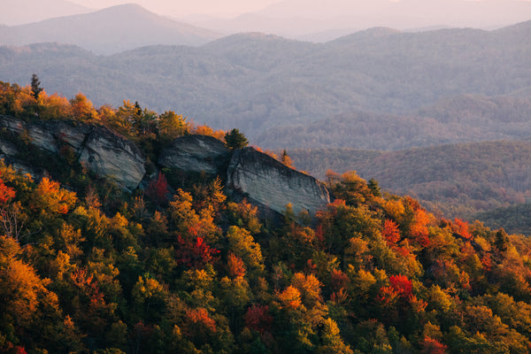 Best Outdoor Winter Activities In South Carolina