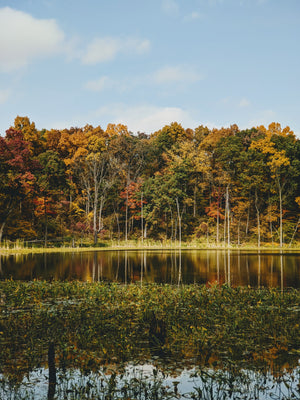 Best Places for Camping in Indiana