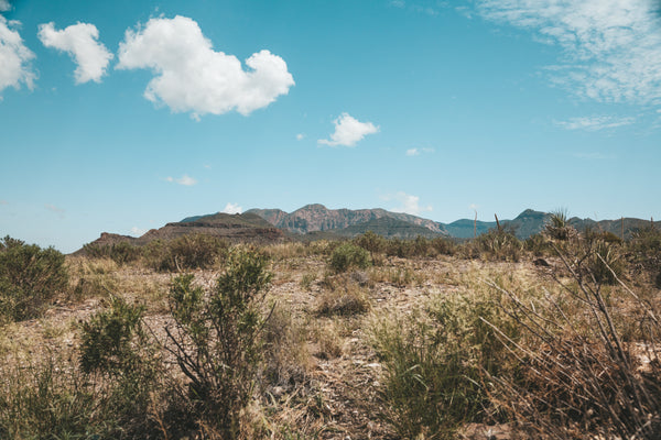 Best Outdoor Fall Activities In Texas