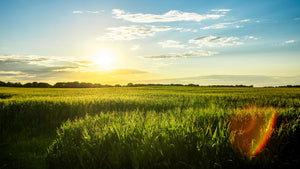 Best Outdoor Spring Activities In Iowa