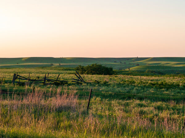 Best Outdoor Spring Activities In Kansas