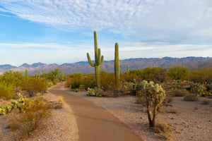 Best Outdoor Spring Activities In Arizona