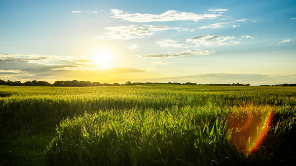Best Outdoor Summer Activities In Iowa