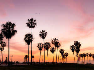 Best Places for Camping in California