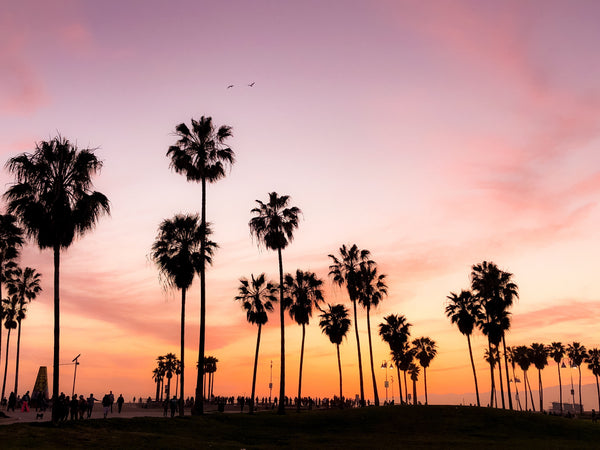 Best Places for Camping in California