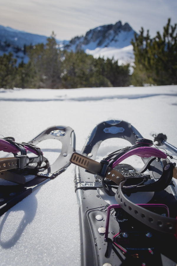 Best Outdoor Winter Activities In Massachusetts