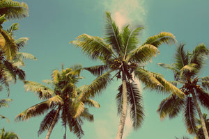 Best Outdoor Spring Activities In California