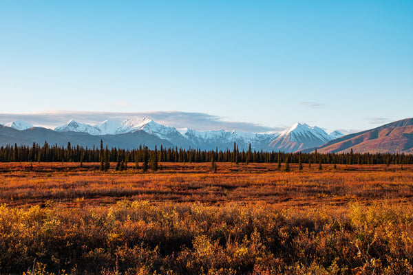 Best Outdoor Summer Activities In Alaska