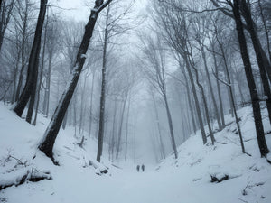 Best Outdoor Winter Activities In Colorado