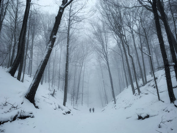 Best Outdoor Winter Activities In Colorado