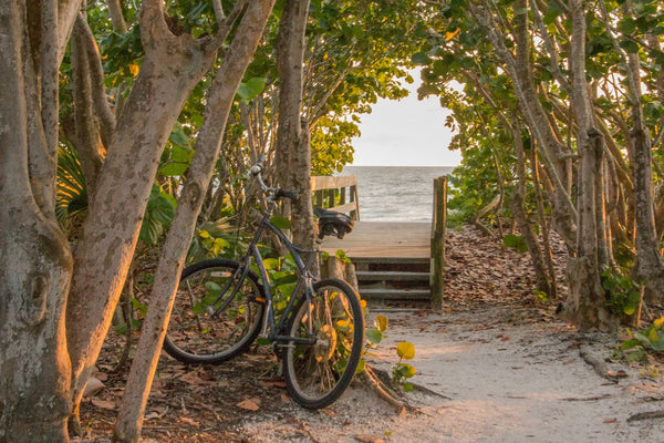 Best Outdoor Winter Activities In Florida