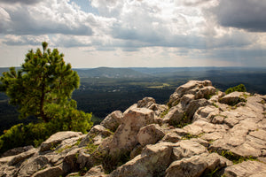 Best Outdoor Spring Activities In Arkansas