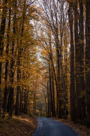 Best Places for Camping in Maryland