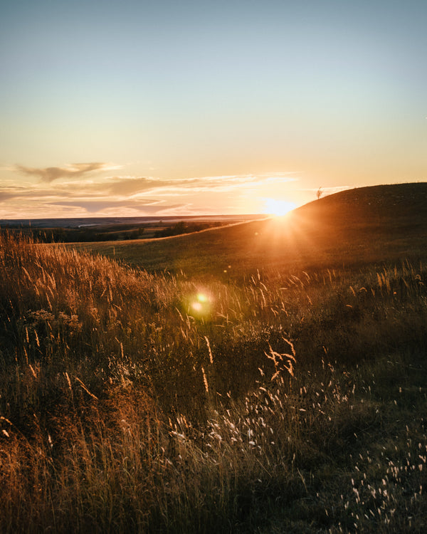 Best Outdoor Summer Activities In Kansas