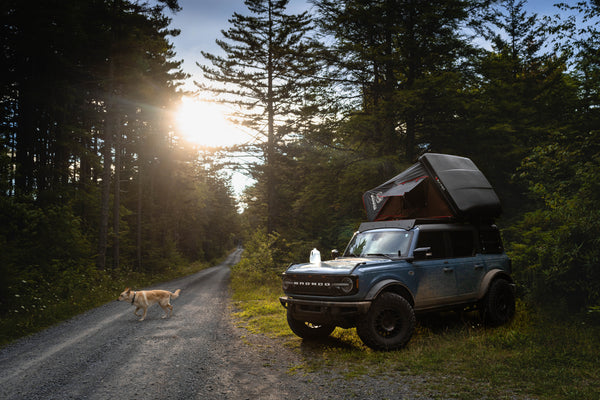 Best Places for Camping in West Virginia
