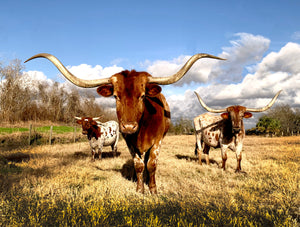 What To Wear Camping In Texas