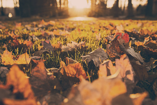 Best Outdoor Fall Activities In Delaware
