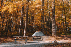 Best Places for Camping in Tennessee