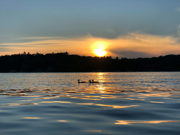 Best Outdoor Spring Activities In Minnesota