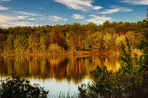 Best Outdoor Spring Activities In Massachusetts