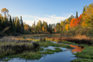 Best Outdoor Spring Activities In Wisconsin