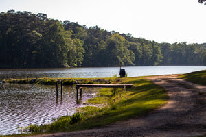 The 5 Best Hikes In Alabama