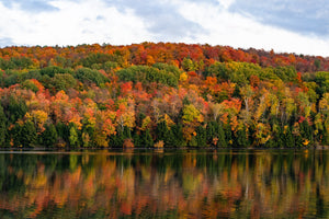 The 5 Best Hikes In Vermont