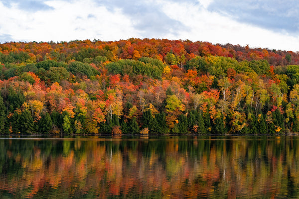 The 5 Best Hikes In Vermont