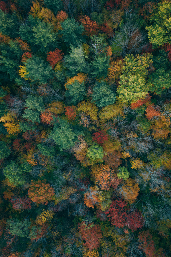 Best Outdoor Spring Activities In Vermont