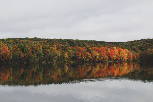 The 5 Best Hikes In Connecticut