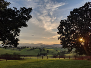 Best Outdoor Spring Activities In West Virginia