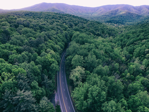 The 5 Best Hikes In West Virginia