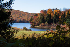 Best Outdoor Spring Activities In Pennsylvania
