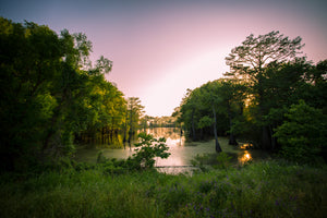 The 5 Best Hikes In Mississippi