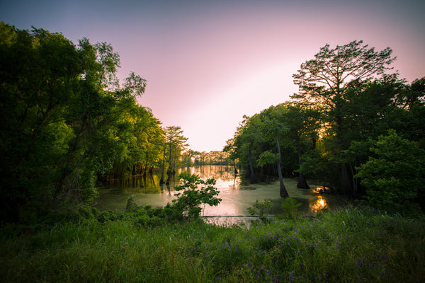 The 5 Best Hikes In Mississippi