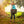 Woman carrying a folded black portable chair over her shoulder in a park