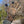 Glacier Glove camouflage pattern outdoor glove with black fingertip accents