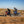 Two riders in Tourmaster gear riding dual sport motorcycles on a dirt trail