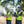 Two construction workers in hard hats and high visibility vests standing outdoors with mist in the air
