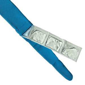 AlphaCool blue fabric strap with a clear gel ice pack insert