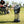 AlphaCool portable misting fan on grass with people in the background