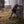 Muck Men's 12 In Chore Mid Western Work Boots