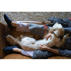 Person wearing Acorn slippers sitting on a leather sofa with a dog
