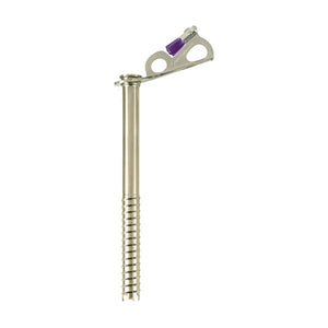 Black Diamond Express ice screw with purple hanger